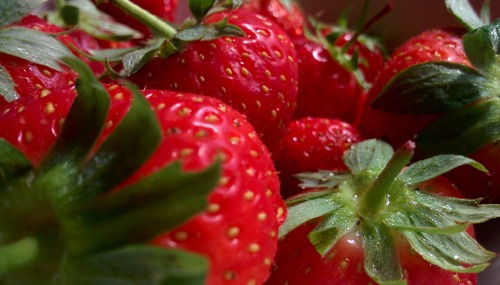 fraises