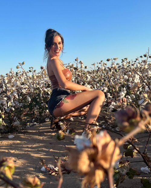 Saw these cotton fields at the pumpkin patch and had take some photos. Fun fact: the second is candi