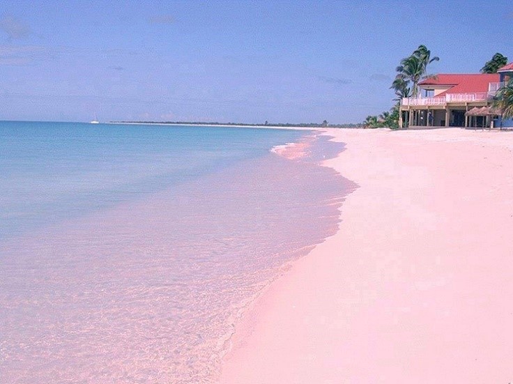 bellazona:    Pink Sandy Beach In The Island Harbour, Bahamas 