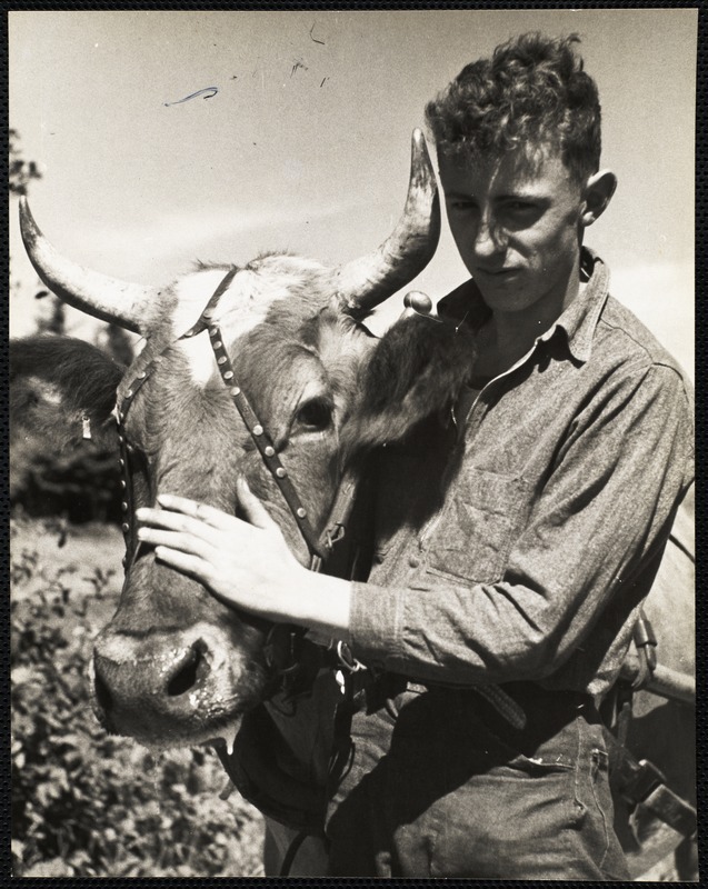 intrepidish:Young farmer, Maine.  1939