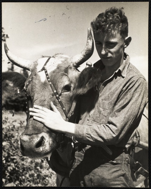 intrepidish:Young farmer, Maine.  1939