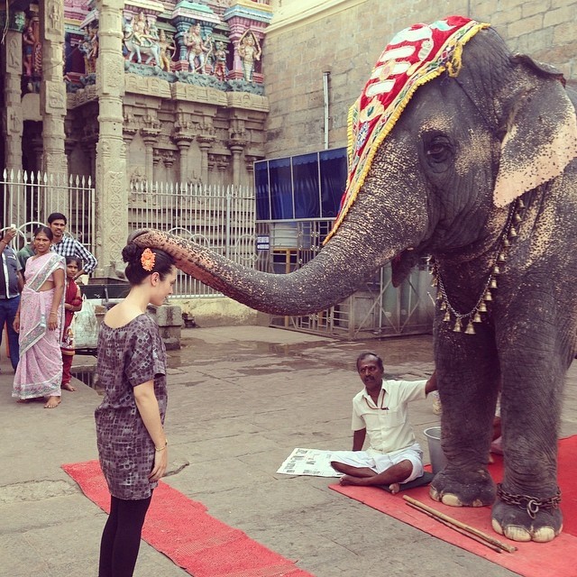 instagram:  Exploring the Meenakshi Amman Temple in Madurai, India  For more photos