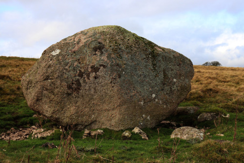 Prehistoric Way Marker or Glacial Erratic, Oddendale, Cumbria, Lake District, 4.11.17.Located within