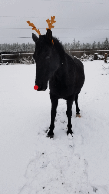 sanddancingwithanxiety: princecajun:   Proof that he barely tolerates my shenanigans