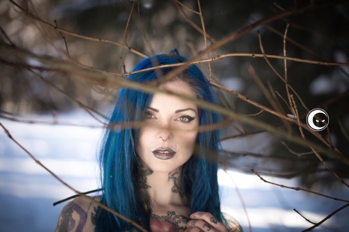 inblackphoto:  Riae|snow|wood|blackdress|NOPHOTOSHOP mod: riae sg