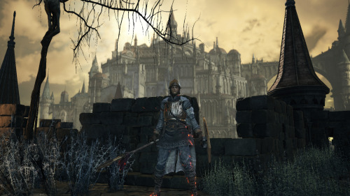 slowfuture: look everyone it’s @seraberra in dark souls 