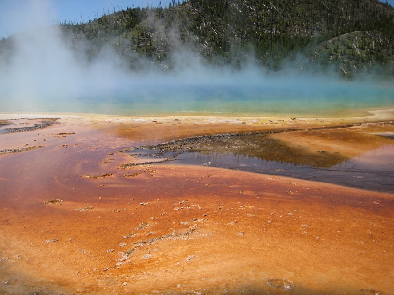 officialrodarte:
“Happy Earth Day! Yellowstone National Park from our trip in 2009.
”