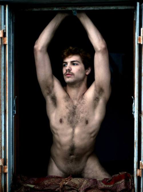 thefaggotbrigade:  William