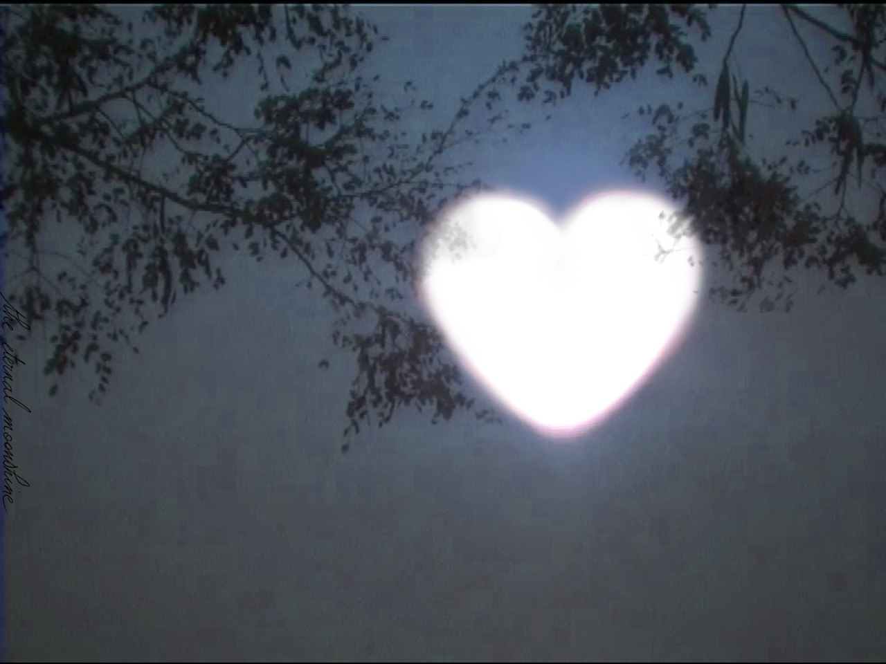 heart moon