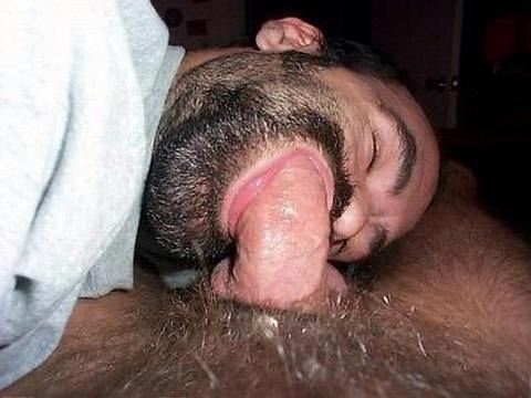 manly-brutes:  barebearx:  backfur:  Slurp  ~~~PLEASE FOLLOW ME ** ~~~~~~~~~ ♂♂OVER 38,500  