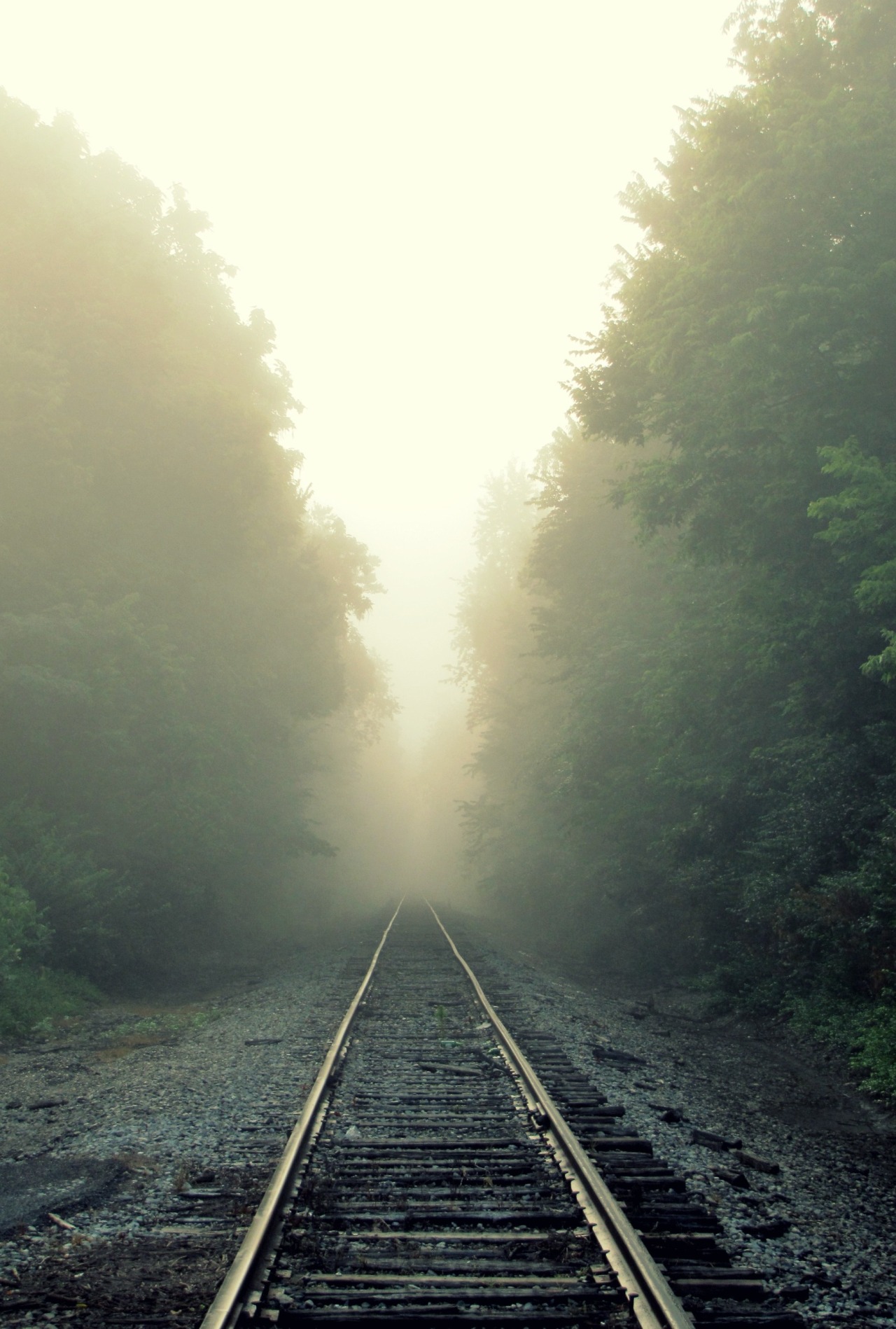 0rient-express:  Leave only tracks | by Sarah Elizabeth Simpson.        