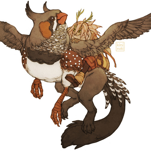  I was thinking about griffon design for Kiwi and my friends have been comparing my zebra finches to