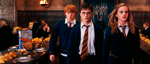 celestial-sexhair:sararye:justarandomturtle:we’re here to fuck shit up.ron looks like he is ready to