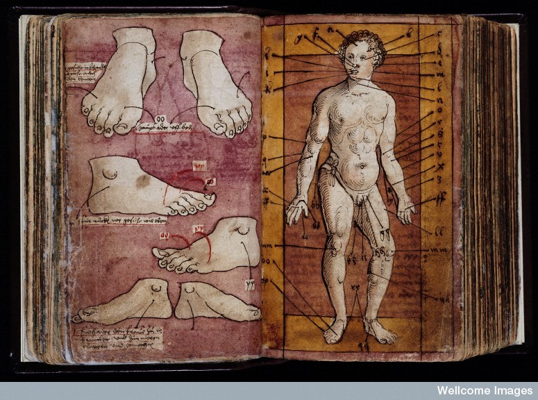 thechirurgeonsapprentice:  A physician’s handbook of practical medicine, with notes