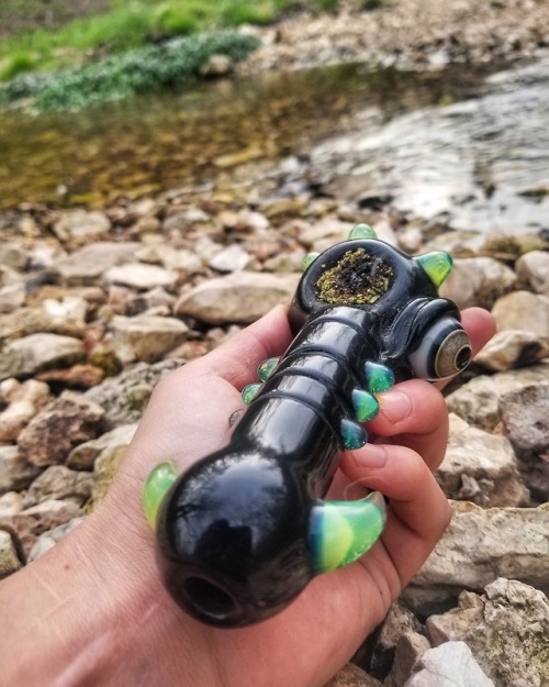 cannabunz:  Great way to end a beautiful day