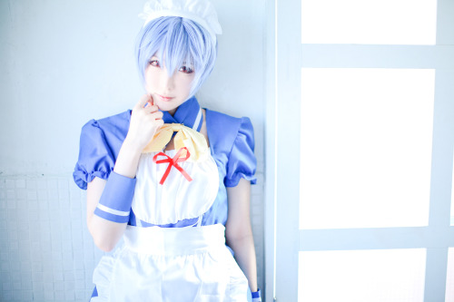 Neon Genesis Evangelion - Rei Ayanami [Maid Outfit] (LeChat) 4-1HELP US GROW Like,Comment & Share.CosplayJapaneseGirls1.5 - www.facebook.com/CosplayJapaneseGirls1.5CosplayJapaneseGirls2 - www.facebook.com/CosplayJapaneseGirl2tumblr - http://cosplayjap