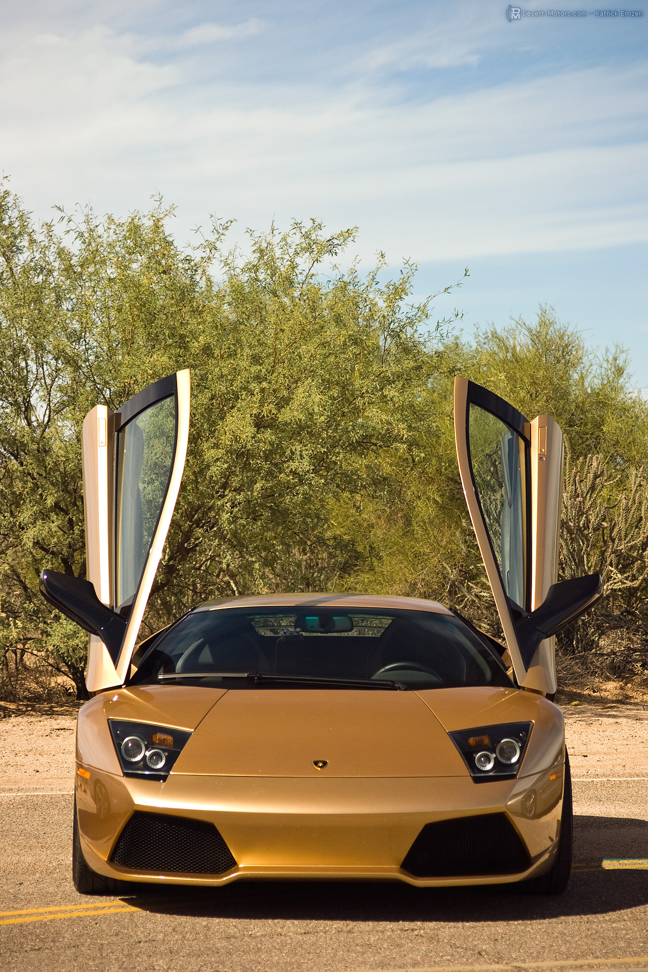 desertmotors:  Lamborghini Murcielago LP640  