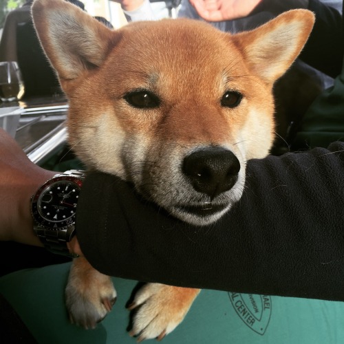 happygoriley:  Happy hour! - HappyGoRiley