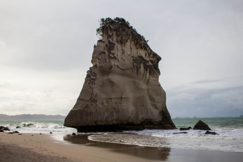 Coromandel Peninsula, New Zealand.