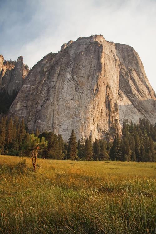 oneshotolive:  This might be “El Capitan week” but that’s okay. This is an incredible sight. Yosemite National Park, USA [2592 × 3888] [OC] 📷: demeve 