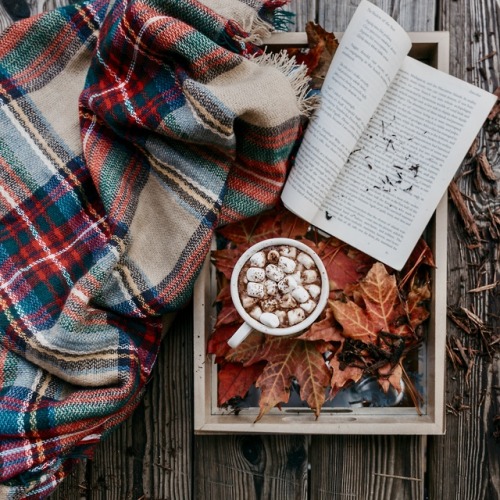 sensational-autumn:sophisticated fall mood board // photos found on unsplash