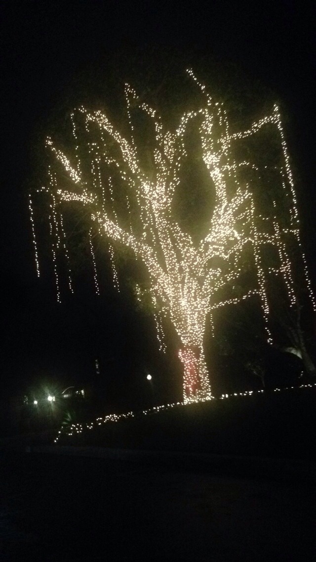 vergen:  california where we make up for for our lack of snow with lights