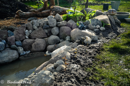 biodiverseed:Stormwater Pond and Mallard HouseDenmark // Zone 8Many things have come together over t