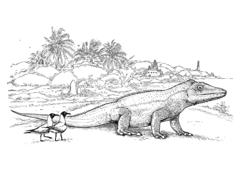 cmkosemenillustrated:Illustration of Titananolis; a hypothetical, gigantic anole lizard, from a worl