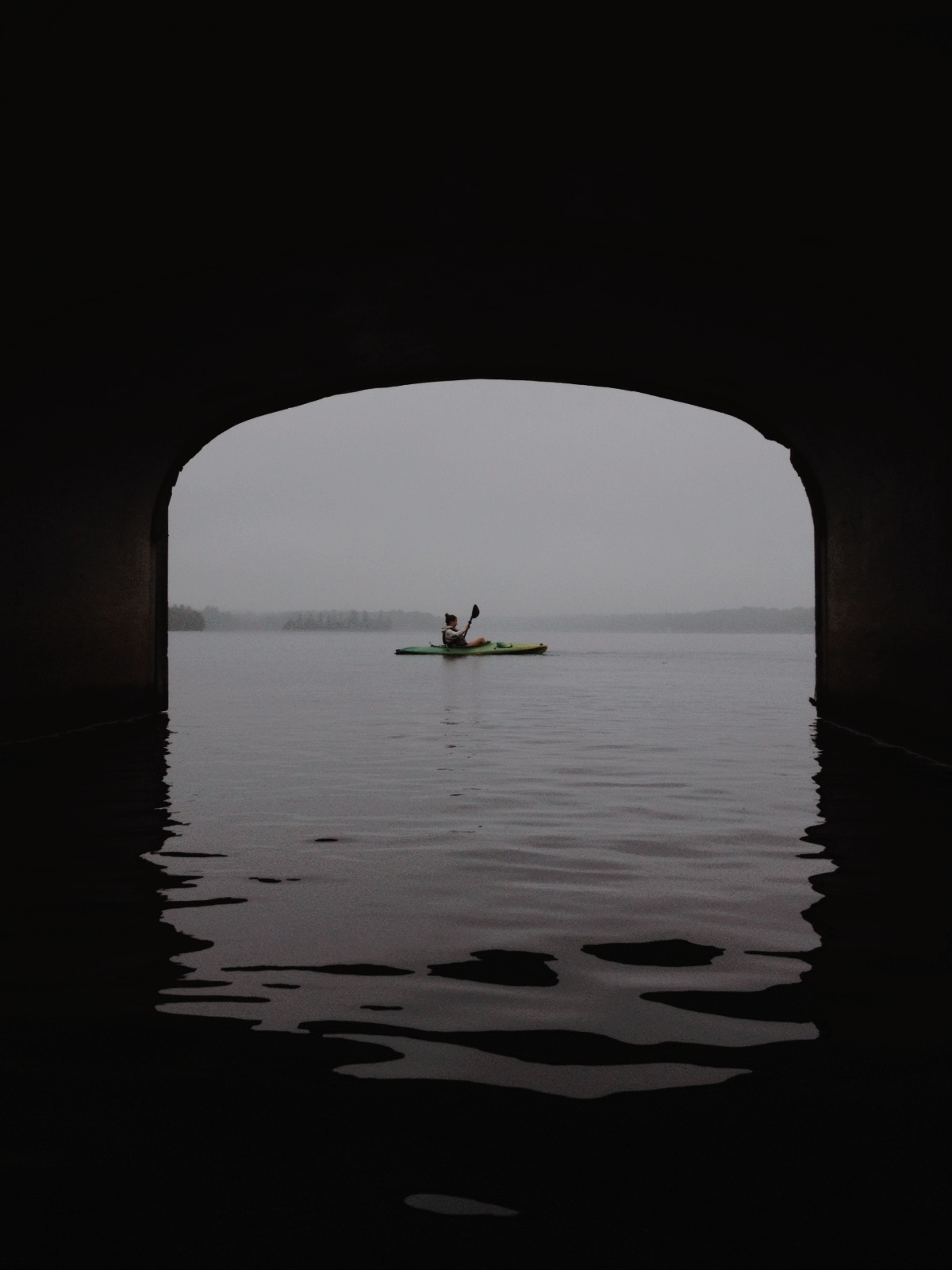 danielodowd:  andrewqholzschuh