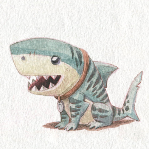 kevanhom: Tiger Shark Pup! Sometimes called “the little garbage disposal” beca