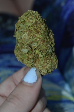 spiritprincess:  i love me some nugs 