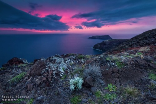 Photographer Miguel Nóbrega (Portugal)  500px 