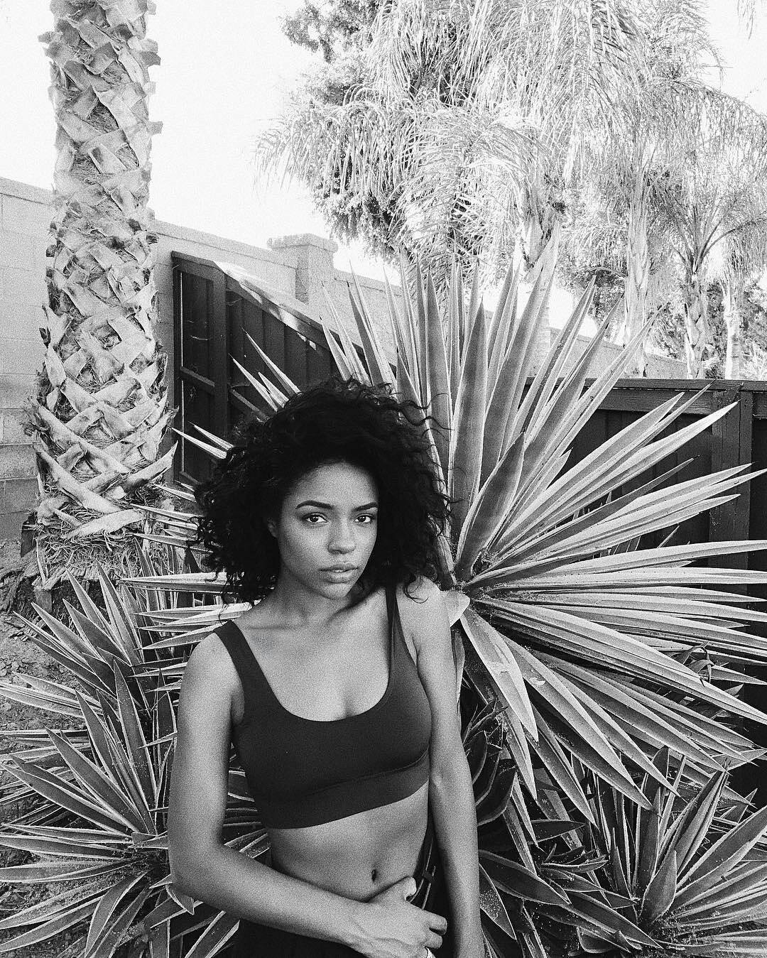 Black Beauties