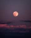eddie-kruger:Camping under May’s Flower Moon 