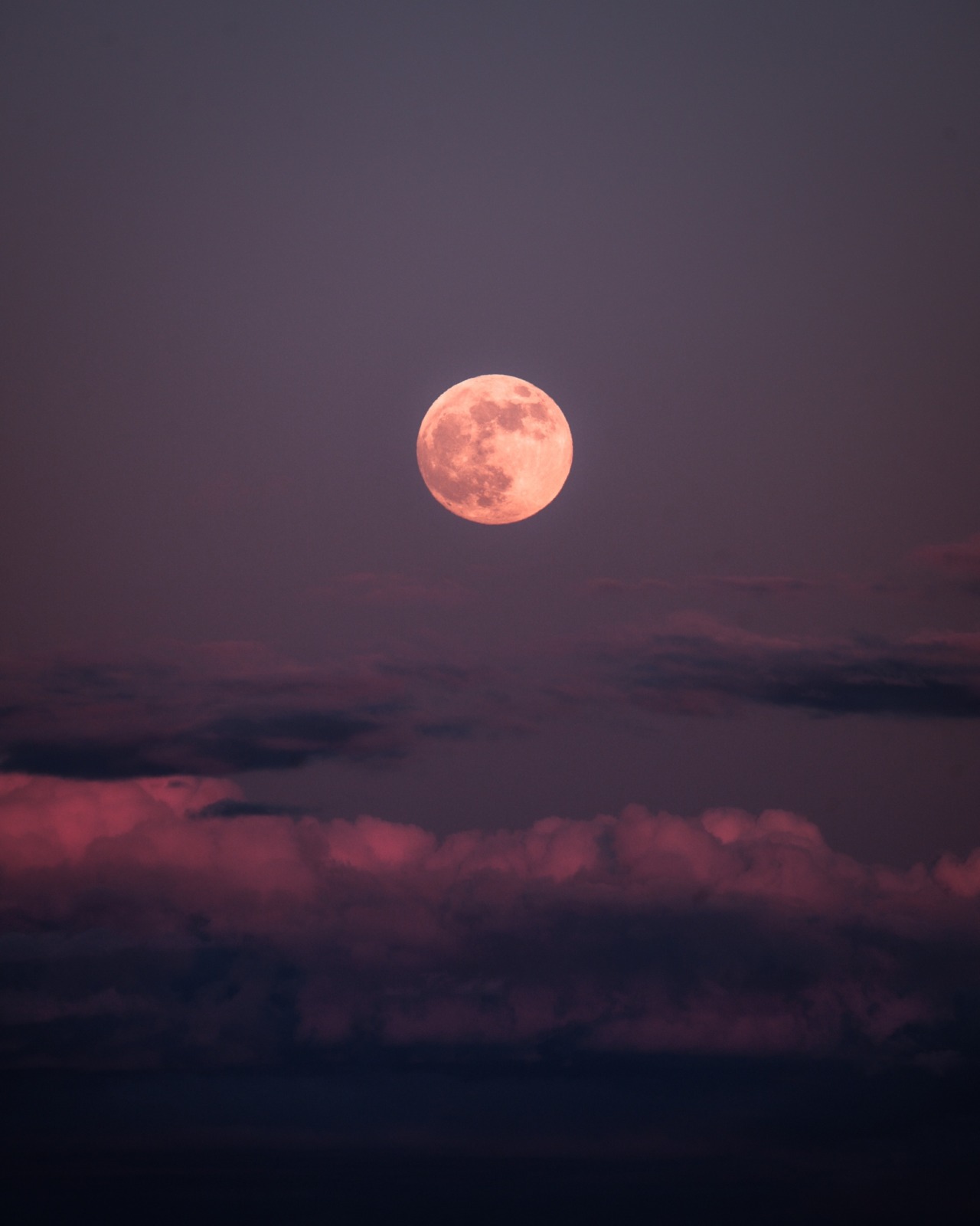 eddie-kruger:Camping under May’s Flower Moon 