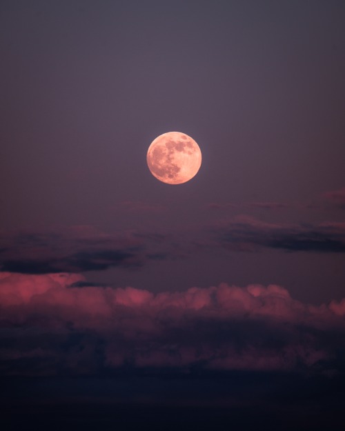 eddie-kruger:Camping under May’s Flower Moon 