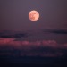 eddie-kruger:Camping under May’s Flower Moon 