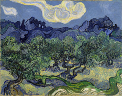 nevver:  Olive trees, Van Gogh