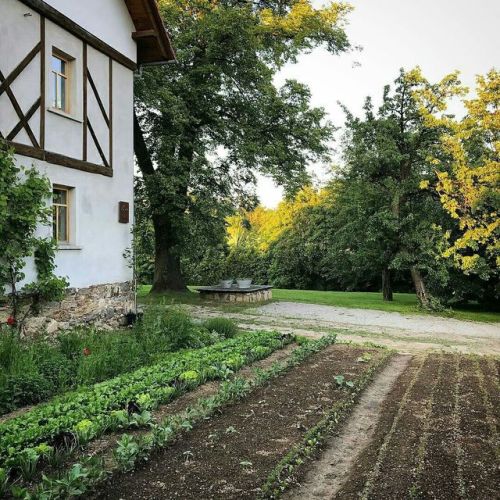 alraunahomestead: Pokrzywnik 11 (@pokrzywnik11)