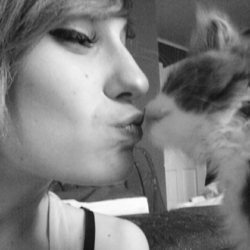 #bae #kisses #crazycatlady #nonefucks #thisiscute #charlie #kittensofinstagram