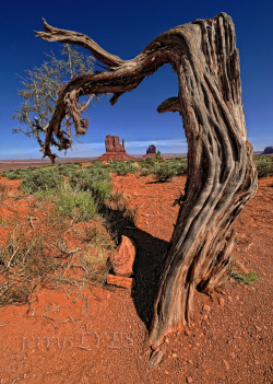 &ldquo;Monument Valley Gothic&rdquo; Monument Valley UTNavajo LandMarch 2009