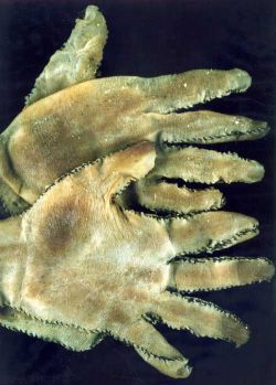unexplained-events:  water-ship-down:  unexplained-events:  unexplained-events:  Human Skin Gloves made by serial killer Ed Gein   I’d like to add “The Woman Mask” created by Ed Gein as well. Just ONE of the NINE he made.  As well as this bowl made