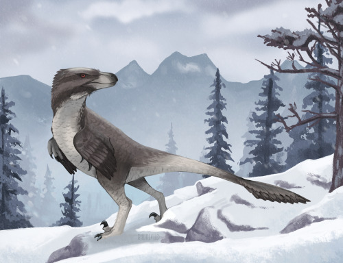 rhunevild:Old Dromaeosaurus illustration, perfectly encapsulating how I feel at this very moment. Po