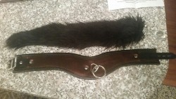 Collar and tail I use to turn some of my