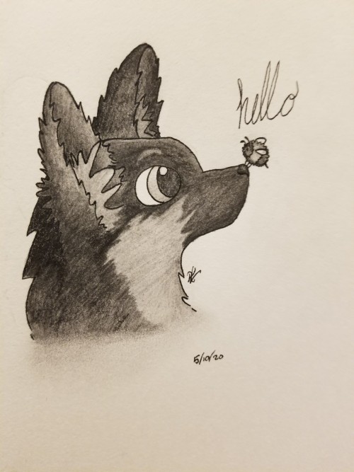 I Did A Thing...