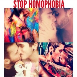 lovehouse:  Stop homophobia! LoveHouse