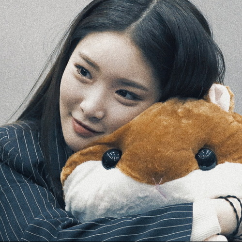 → chungha icons; → request are open ♡