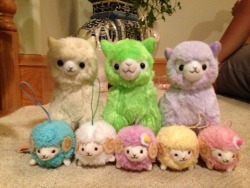 I’m jealous. I want an Alpacasso hard. 