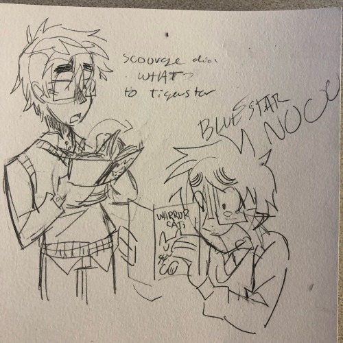 England Reading Warrior Cats He Created It