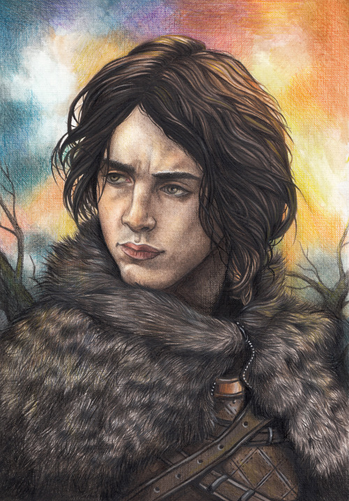  Prince of the North.Edmond, son of Jon Snow and Sansa Stark, character from fanfic “The Path 